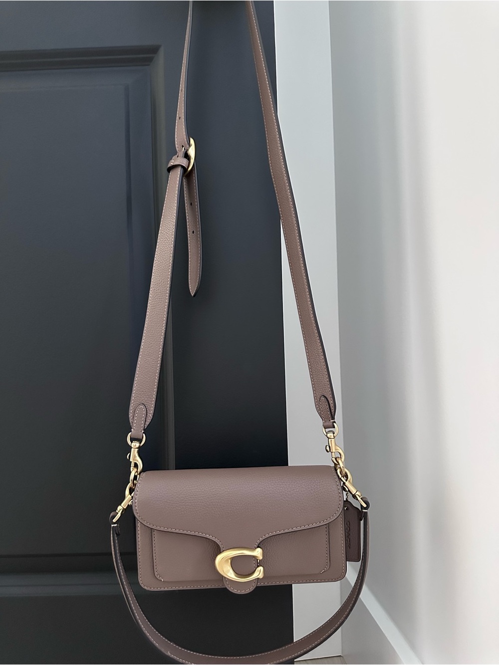 Coach Tabby Crossbody Bag (Taupe) - Picture 2 of 7